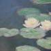 Waterlilies, Evening (detail)